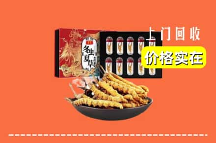 扬州市广陵回收冬虫夏草
